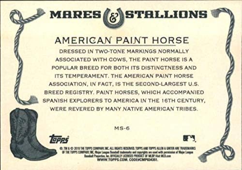 2019 Topps Allen și Ginter Mares and Stallions MS-6 American Paint Horse MLB Baseball Trading Card