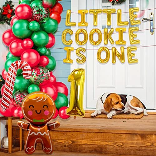 Jevenis Oh, ce distracție este să fii o petrecere decorare cookie pentru prima zi de naștere decor Gingerbread 1st Birthday
