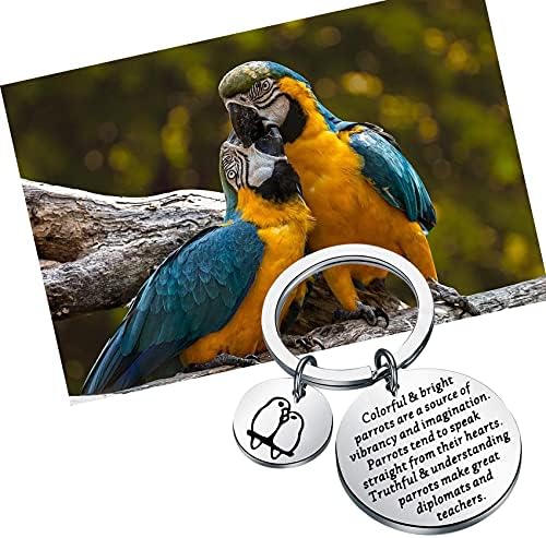 Papagalul Bobauna PARROT PARAKEET CHENTHAIN COCKATIEL Bigerii Bigerii Papagalii colorați și strălucitori sunt o sursă de vibrație