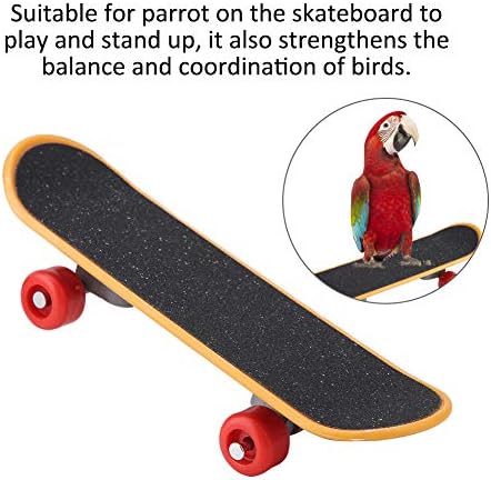Jucării de skateboard pentru păsări Kadimendium, jucării de antrenament pentru păsări 5.5x1.7x1in din plastic Mini-Lhepd Skateboard