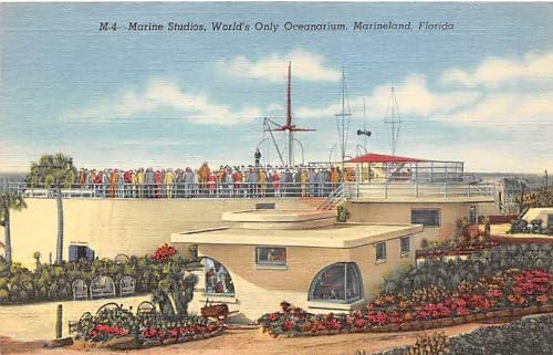 Marineland, Carte poștală din Florida