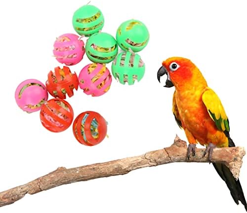 Colorat pasăre jucărie 10buc Pet papagal jucărie pasăre mingea jucărie colorat gol umplute papagali hrănire bile pentru papagali