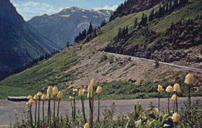 Glacier Park, Carte poștală din Montana